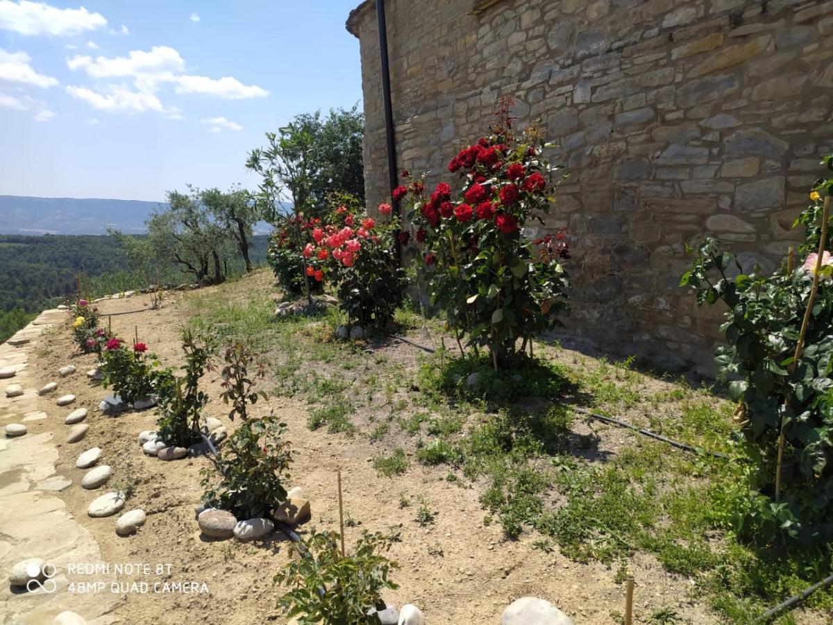 Casa Dominica ξενώνας Γκράους Εξωτερικό φωτογραφία
